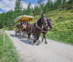 Pferdekutschenfahrt im Sommer am Katschberg
